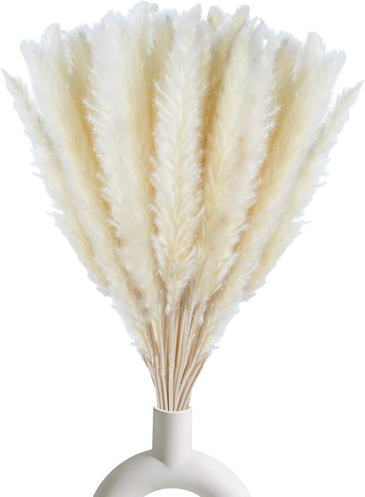 30 Pcs White Pampas Grass ,17 inch/45 cm Natural Dried Pampas Grass Branches Decor for Home Kitchen Garden Party Photographing Flower Arrangement Vase Decor（White