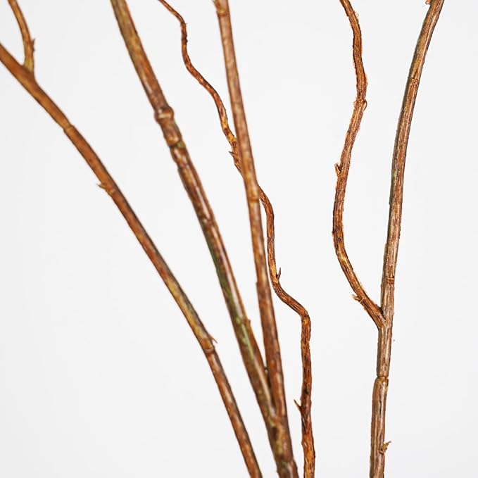 Srifoliage Artificial Plants Faux Greenery Eucalyptus Stems,Faux Branches for Vase Filler,Artificial Ficus Twig Branches Stems for Shop Garden Office Home Décor (3, Stems02)