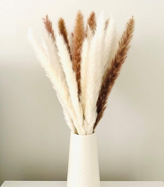 30 Pcs White Pampas Grass ,17 inch/45 cm Natural Dried Pampas Grass Branches Decor for Home Kitchen Garden Party Photographing Flower Arrangement Vase Decor（White