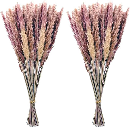60 Pcs Pampas Grass ,17.7 inch/45cm Natural Dried Pampas Grass Branches Decor for Home Kitchen Garden Party Photographing Flower Arrangement Vase Decor (Natural)…