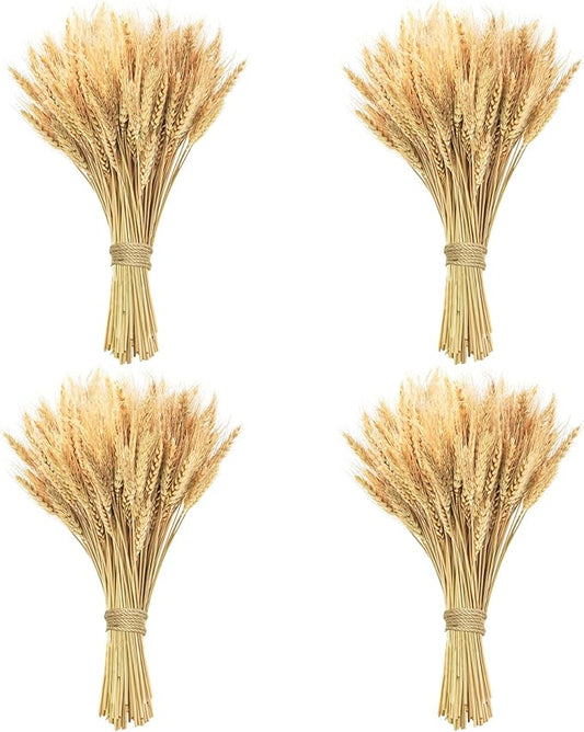 Phliofd 18 inches Natural Dried Wheat Stalks, 400 Stems Wheat Dried Flowers for Vase Home Kitchen Office Spring Flowers Arrangement Wedding Crowns Wreath Table Centerpiece Farmhouse Boho Party Décor