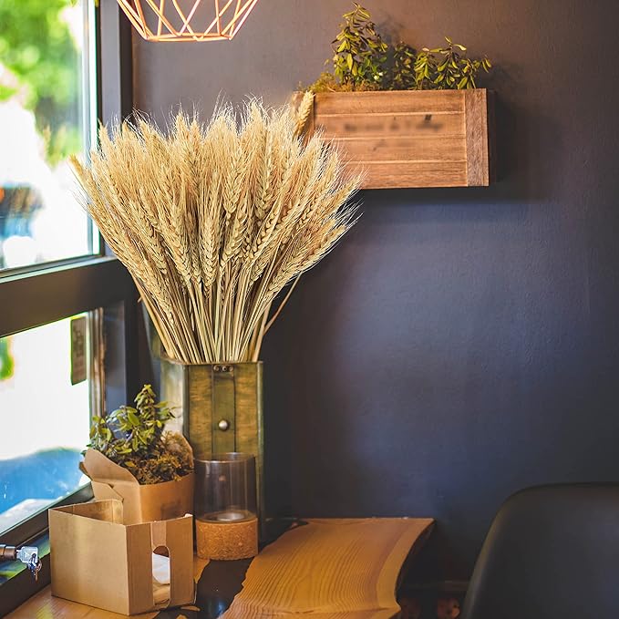 Phliofd 600 Stems Natural Dried Wheat Stalks, 18 inches Dried Wheat Grass Bundle Wheat Sheaves Wreath for Flowers Arrangement Wedding Table Centerpieces Home Kitchen Office DIY Party Décor