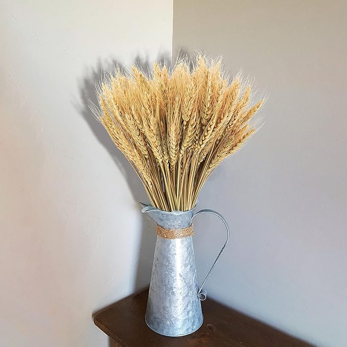 Phliofd 17.7 inches Dried Wheat Stalks, 100 Stems Dried Flowers 100% Natural Wheat for Home Kitchen Office Flowers Arrangement Wedding Table Christmas Farmhouse Boho Party Fall Décor