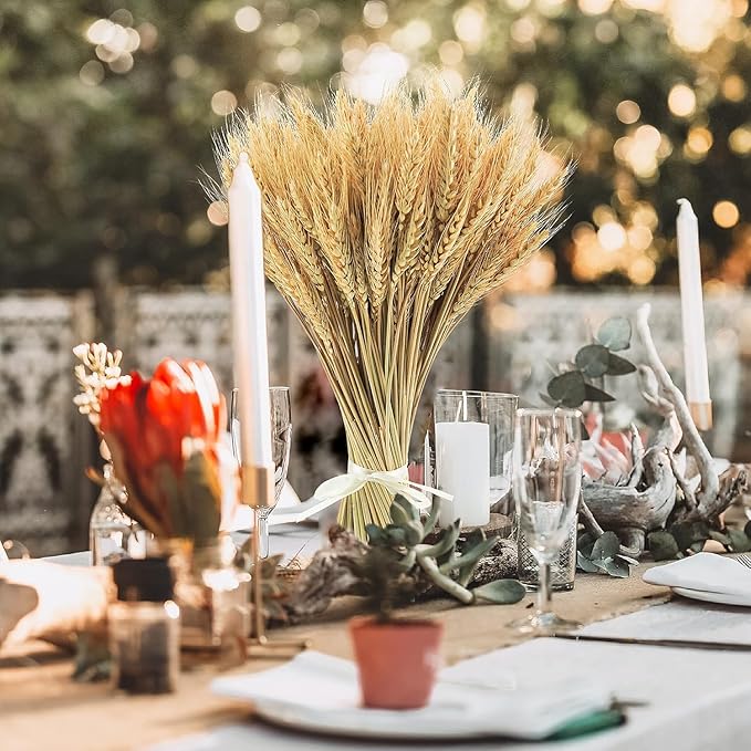 Phliofd 300 Stems Natural Dried Wheat Stalks, 18 inches Dried Wheat Grass Bundle Wheat Sheaves Wreath for Flowers Arrangement Wedding Table Centerpieces Home Kitchen Office DIY Party Décor