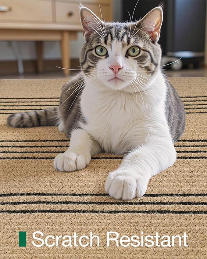 LUMI Jute Area Rug 8x10 for Living Room, Natural Handwoven Rugs Non Slip, Farmhouse Braided Carpets No Shedding for High Traffic, Dining Room, Indoor, Outdoor, Patio