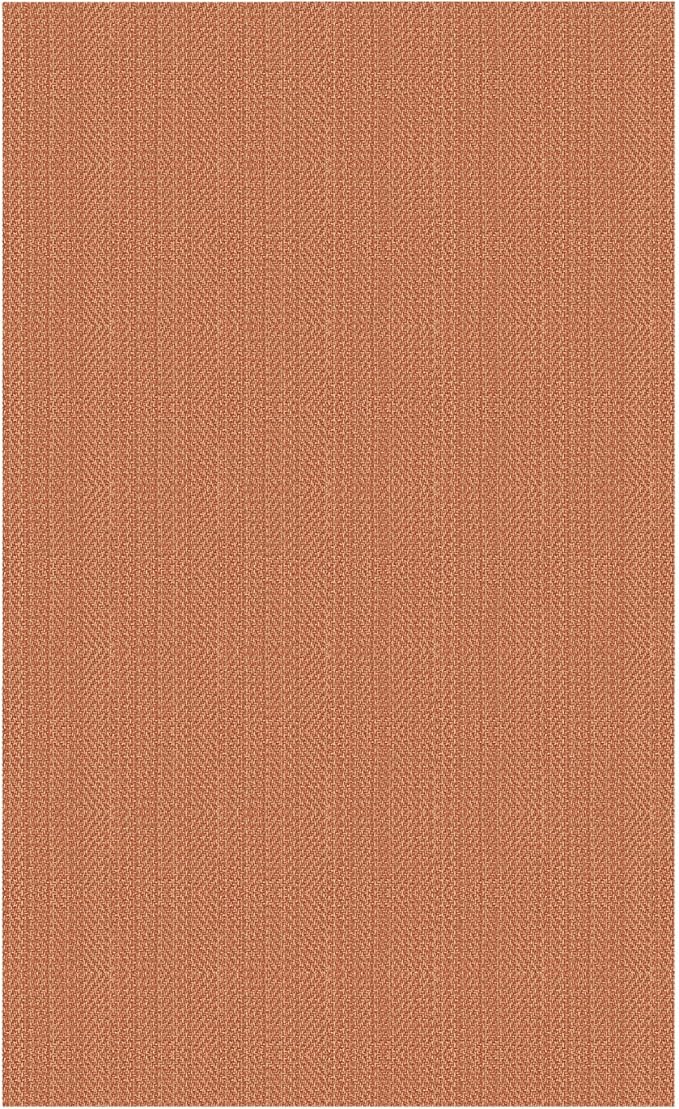 IOHOUZE Washable Area Rug 3x5 Non Slip Rubber Backed Woven Rugs for Entryway Rugs Indoor Outdoor Doormat Throw Rug Floor Carpet for Entrance Kitchen Front Door, Rustic Orange